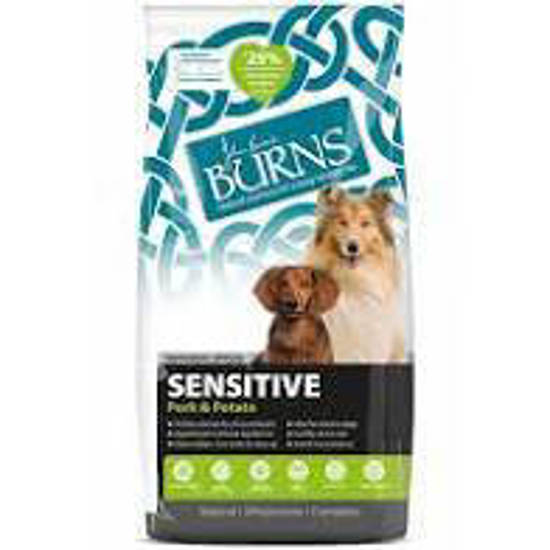 Picture of Burns Canine Sensitive Pork - 12kg