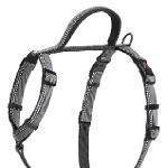 Picture of Halti Walk Harness Black - Medium