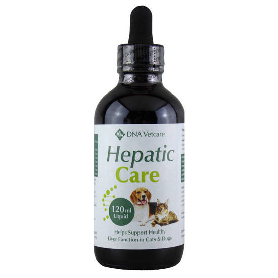 Picture of DNA Vetcare -  Hepatic Care - 120ml Liquid